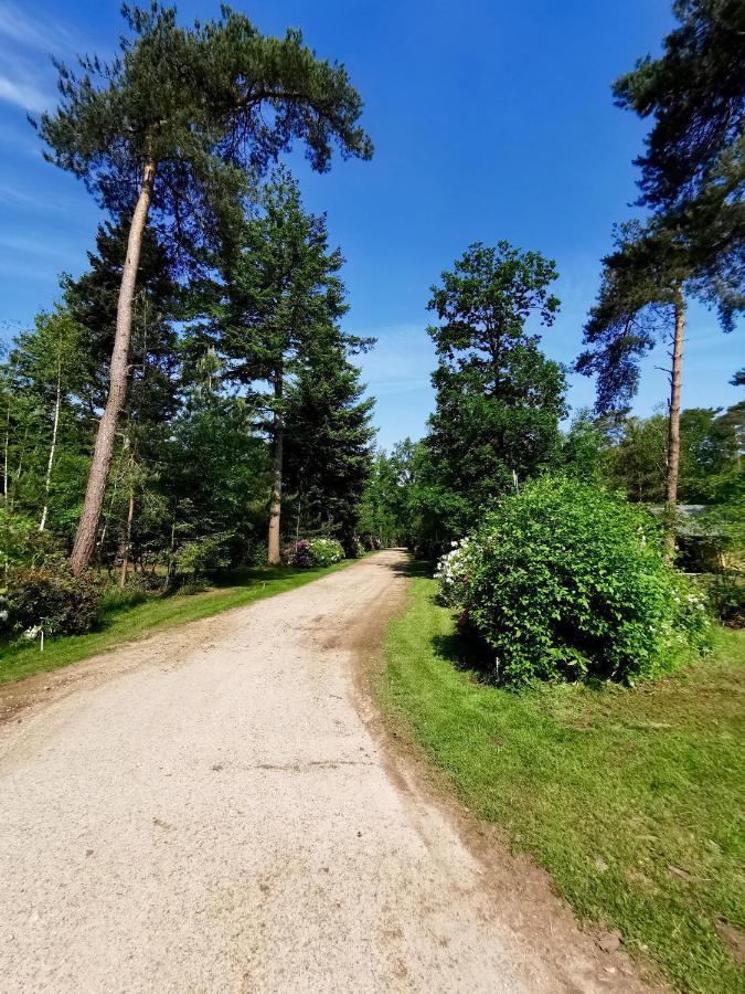 Glamping In Nature By Outdoors Holten Bagian luar foto