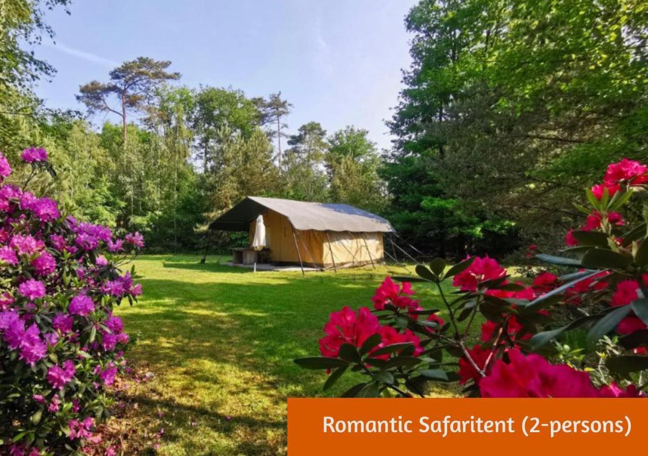 Glamping In Nature By Outdoors Holten Bagian luar foto
