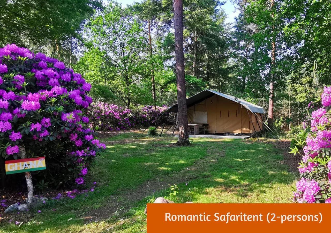 Glamping In Nature By Outdoors Holten Bagian luar foto
