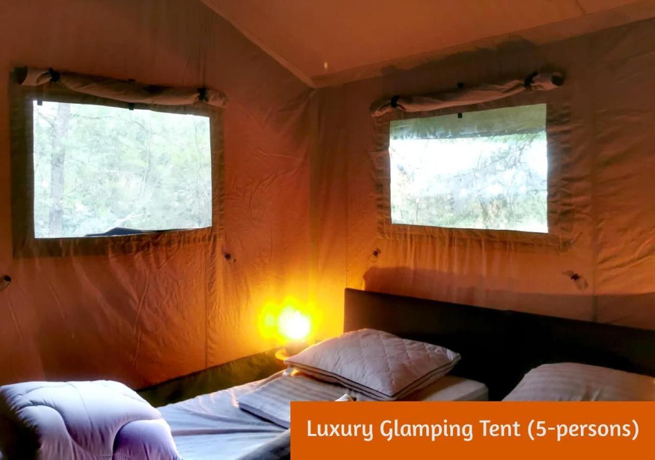 Glamping In Nature By Outdoors Holten Bagian luar foto