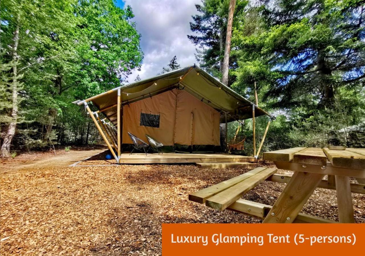 Glamping In Nature By Outdoors Holten Bagian luar foto
