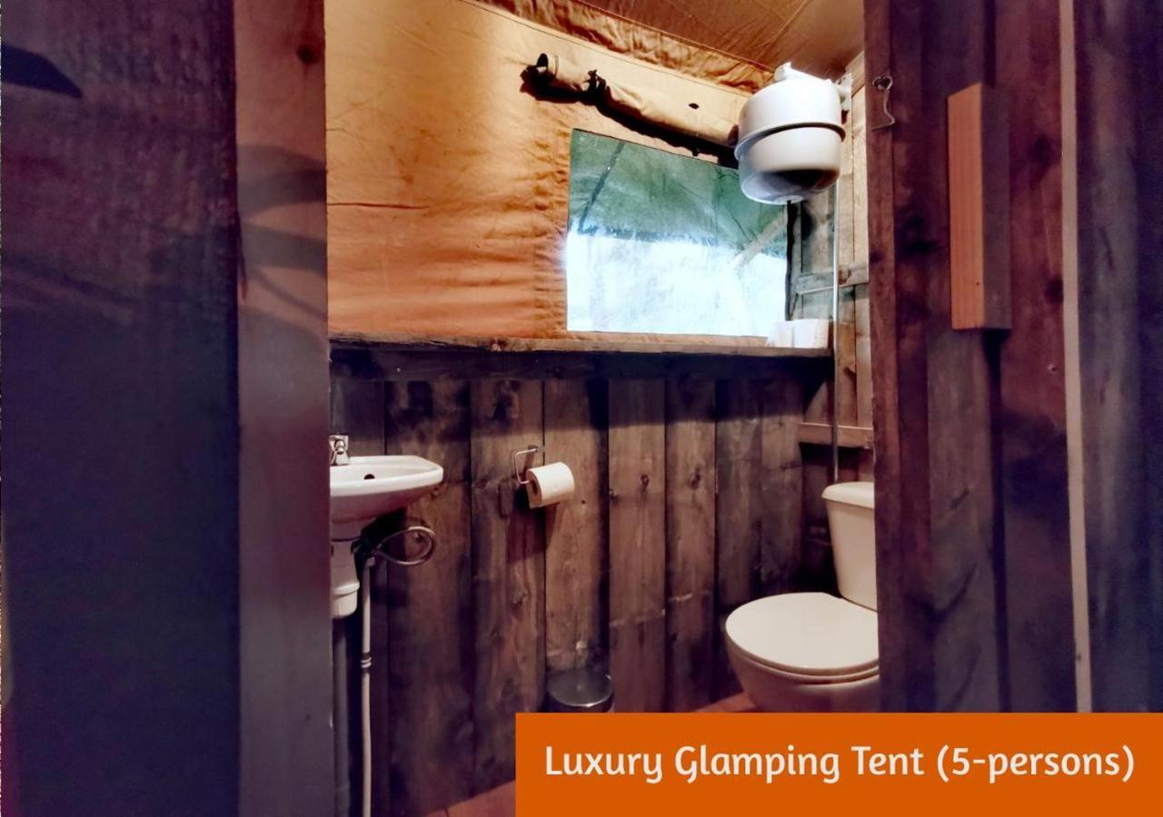 Glamping In Nature By Outdoors Holten Bagian luar foto
