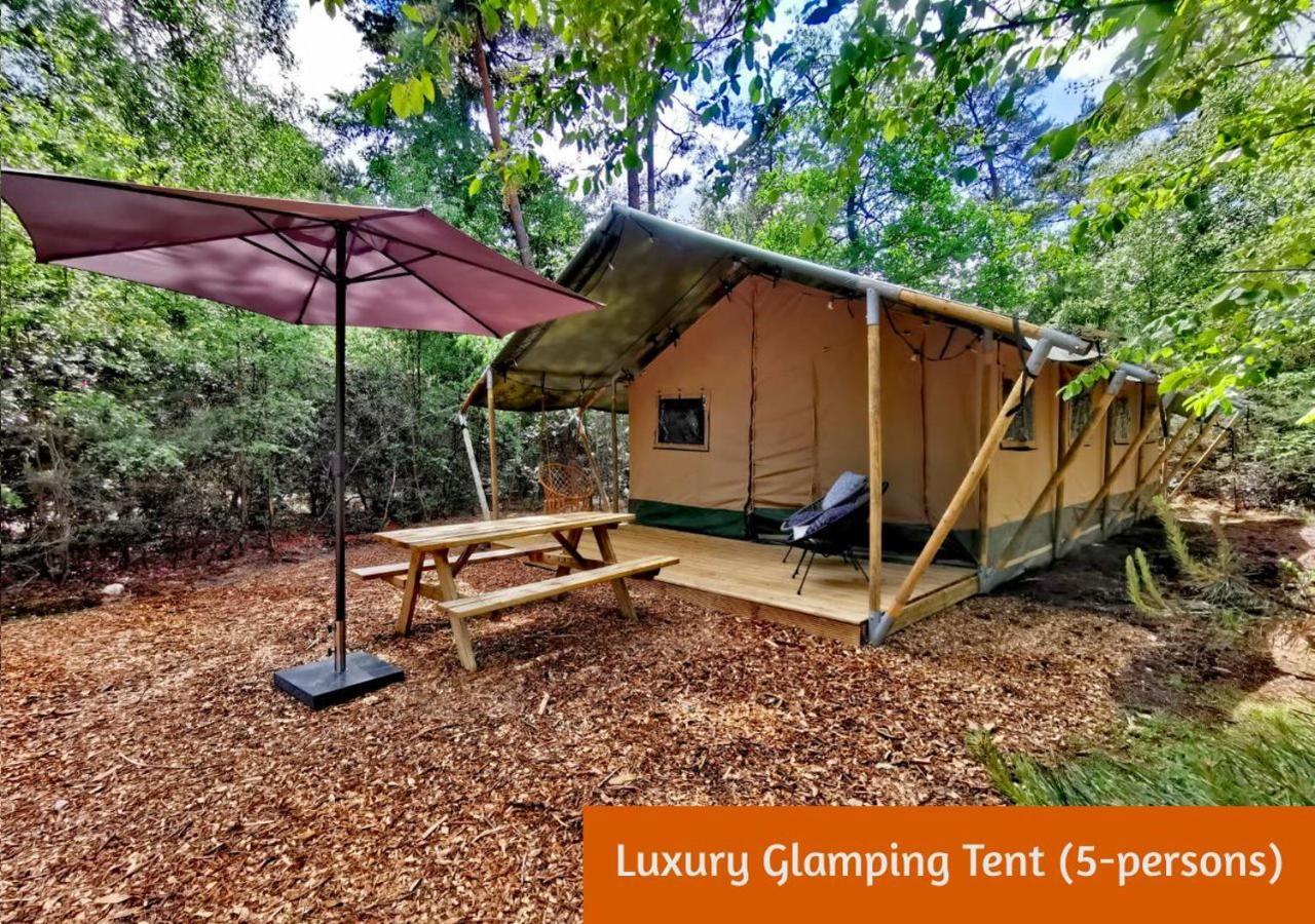 Glamping In Nature By Outdoors Holten Bagian luar foto