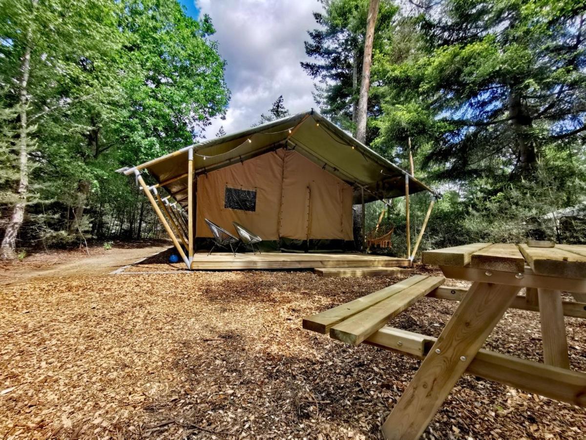 Glamping In Nature By Outdoors Holten Bagian luar foto