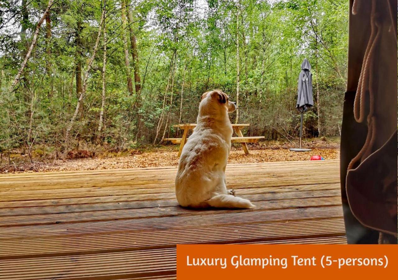 Glamping In Nature By Outdoors Holten Bagian luar foto