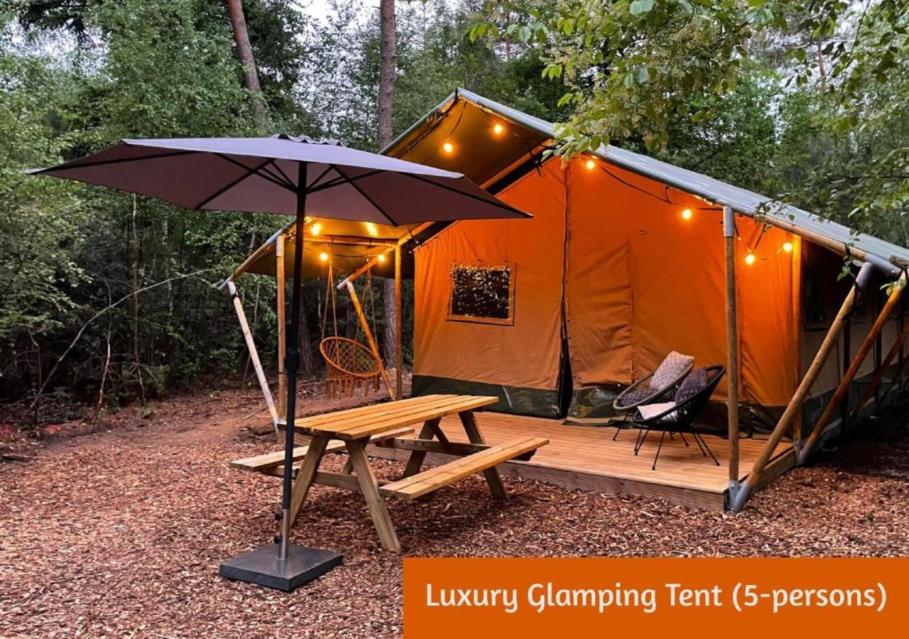 Glamping In Nature By Outdoors Holten Bagian luar foto